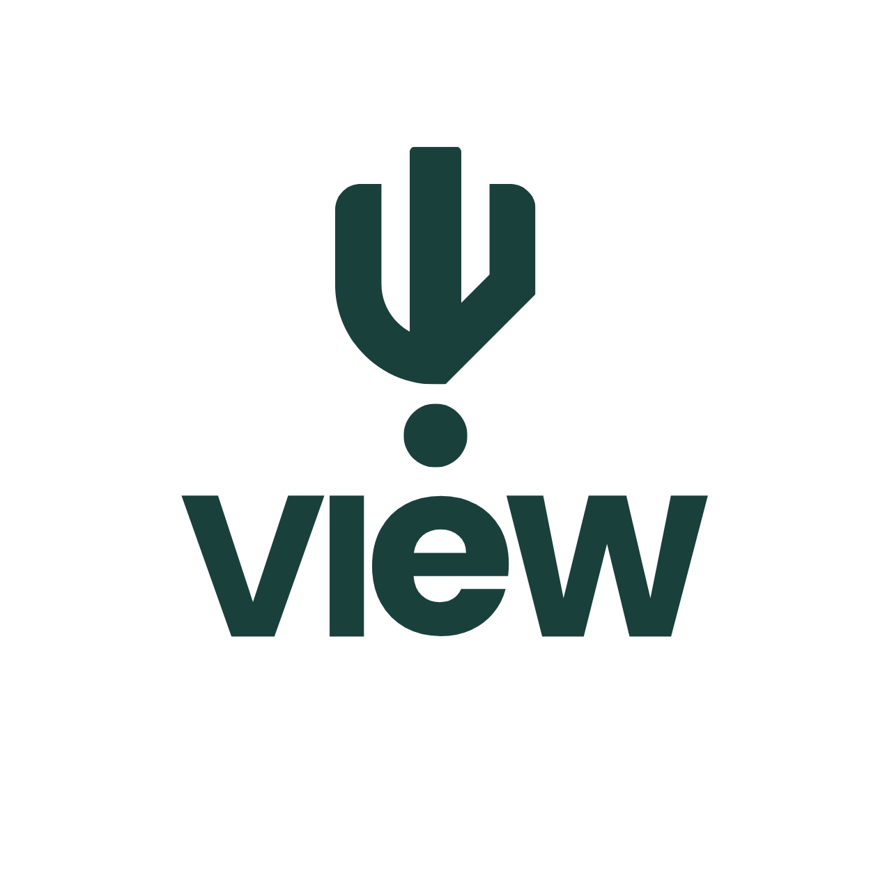 VIEW Logo